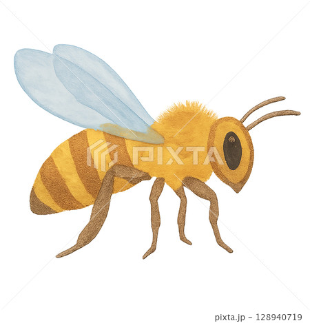 ミツバチのイラスト素材 ミツバチのイラスト素材 128940719