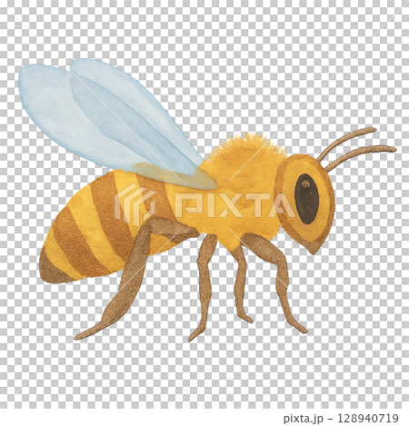 蜜蜂插圖素材 128940719
