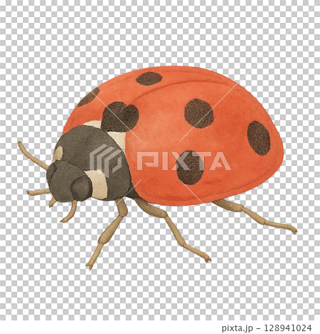 Cute ladybug illustration material Cute ladybug illustration material 128941024
