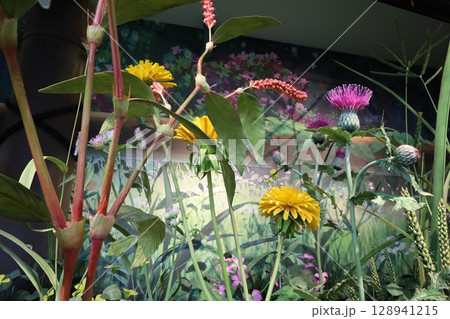 ジブリパーク、ジブリの大倉庫、小人の庭の風景【愛知・長久手市】 ジブリパーク、ジブリの大倉庫、小人の庭の風景【愛知・長久手市】 128941215