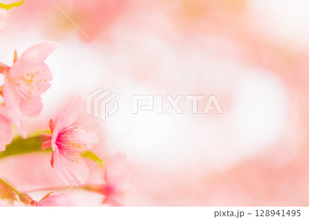 桜・春 イメージ 128941495