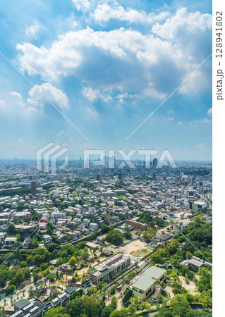 夏の名古屋市街地、東山スカイタワーからの眺め〈愛知県名古屋市〉 夏の名古屋市街地、東山スカイタワーからの眺め〈愛知県名古屋市〉 128941802