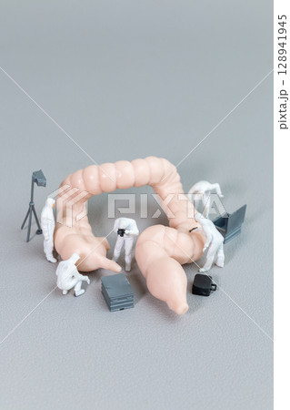 Tiny figures in hazmat suits examine a model of the human intestine Tiny figures in hazmat suits examine a model of the human intestine 128941945