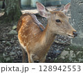 奈良公園の鹿 128942553