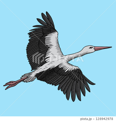 Stork in flight Stork in flight 128942978