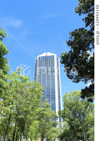 夏の東遊園地（兵庫県 神戸市） 128943148