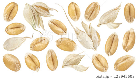 Wheat seeds isolated on white background, falling unpeeled wheat grains collection, macro, full depth of field 128943608