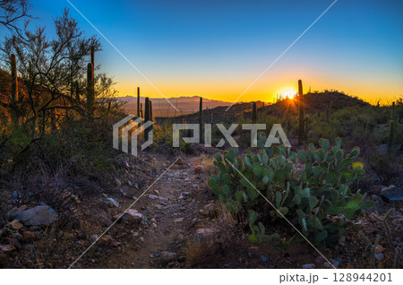 Sunset over King Canyon Trailhead in Saguaro National Park West, Arizona Sunset over King Canyon Trailhead in Saguaro National Park West, Arizona 128944201