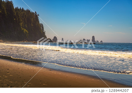 Sea Stacks and Forested Cliffs at La Push Third Beach, Washington State Sea Stacks and Forested Cliffs at La Push Third Beach, Washington State 128944207