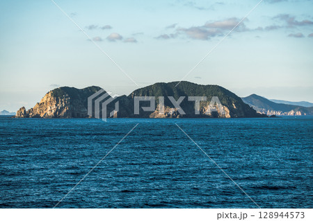 【東京九州フェリーはまゆう新門司行　高知県沖を航行　姫島】 128944573