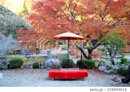 高蔵寺紅葉 128944618