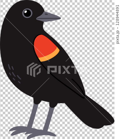 Simple cartoon red-winged blackbird drawing 128944891