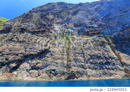 【島根県】国賀めぐり定期観光船から見た国賀海岸（隠岐の島　西ノ島） 128945053