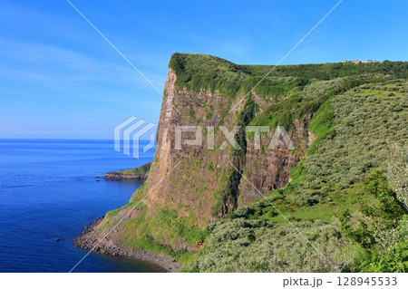 【島根県】快晴の国賀海岸の摩天崖（隠岐の島　西ノ島） 128945533