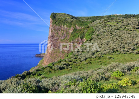 【島根県】快晴の国賀海岸の摩天崖（隠岐の島　西ノ島） 128945549
