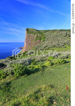 【島根県】快晴の国賀海岸の摩天崖（隠岐の島　西ノ島） 128945556