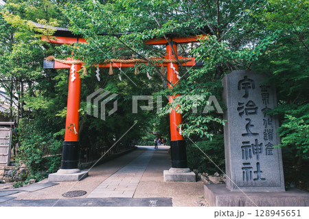 [宇治上神社／宇治神社]京都　大きな朱色の鳥居 128945651