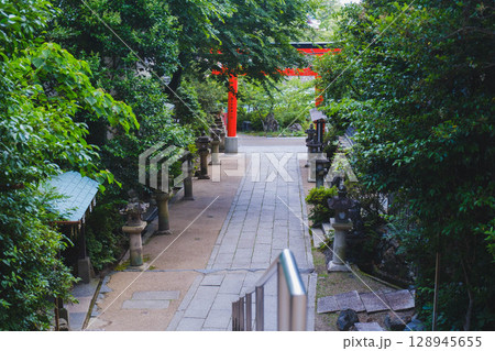 [宇治上神社／宇治神社]京都　自然豊かな境内の風景 128945655