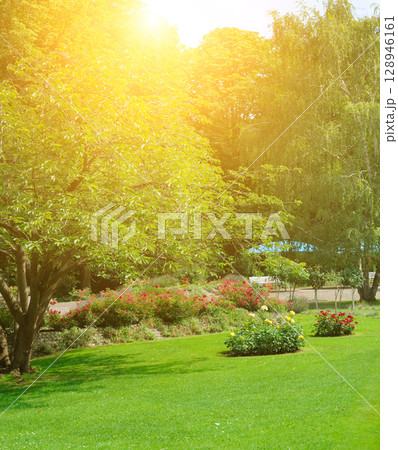 Beautiful garden with a flowerbed and bright sunset. 128946161
