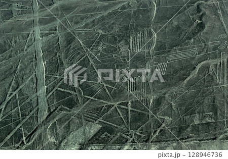 Nazca Lines Geoglyph Frigate bird  in Peru Nasca desert aerial view.  128946736