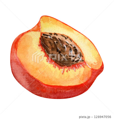 Watercolor half peach with pit illustration. Fresh juicy fruit cut in half. Botanical fruit clipart 128947056