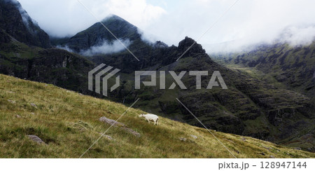 Serene landscape featuring a single sheep amidst breathtaking mountain scenery, the atmosphere is one of tranquility and grandeur. Serene landscape featuring a single sheep amidst breathtaking mountain scenery, the atmosphere is one of tranquility and grandeur. 128947144
