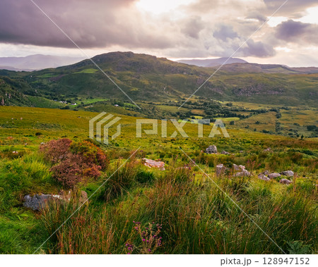 Green hills of coomloughra horseshoe in County Kerry, Ireland, under overcast skies and dramatic clouds during the daytime. 128947152