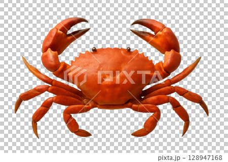 Colorful Red Crab With Large Claws Resting on a White Background 128947168