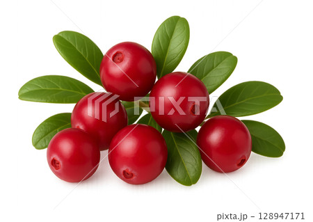Fresh Red Cranberries With Green Leaves Arranged Together on a White Background 128947171