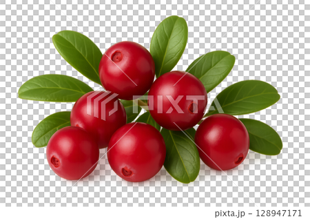 Fresh Red Cranberries With Green Leaves Arranged Together on a White Background 128947171