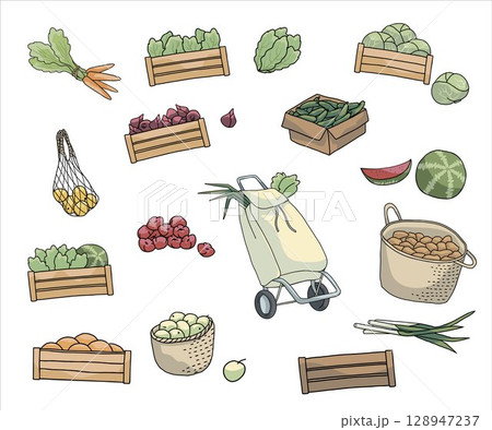 Hand drawn vector illustration of fresh vegetables, grocery basket, crates and a shopping trolley, carrots, lettuce, cucumbers, onions, apples and watermelon 128947237