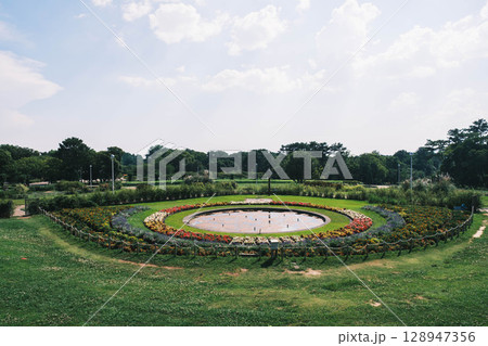 [服部緑地]大阪　景色の良い花壇 128947356