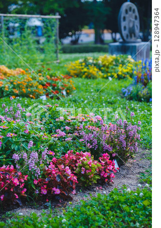 [服部緑地]美しい花たち 128947364