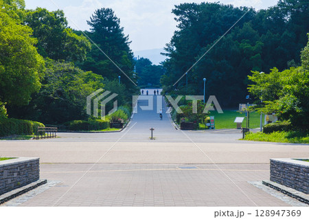 [服部緑地]自然豊かな公園 128947369