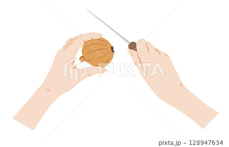 Human Hands Holding Onion and Knife for Cutting Vegetable, Vector Food Illustration Human Hands Holding Onion and Knife for Cutting Vegetable, Vector Food Illustration 128947634