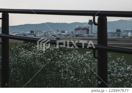 [伊丹スカイパーク]夕暮れ時の伊丹空港で飛行機が運行する風景 128947677