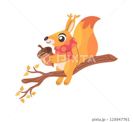 Squirrel autumn animal on branch Squirrel autumn animal on branch 128947761