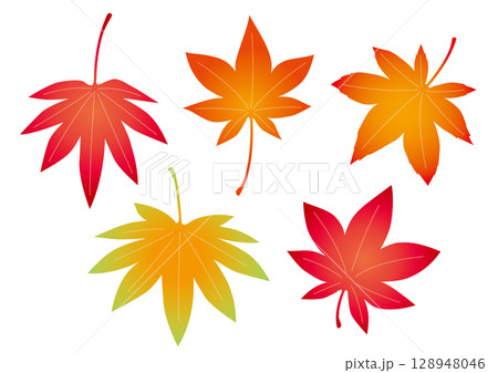 紅葉の葉っぱセット 紅葉の葉っぱセット 128948046