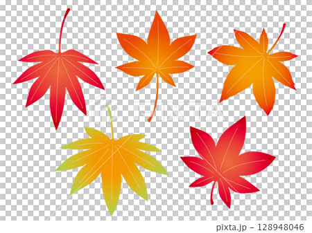 紅葉の葉っぱセット 紅葉の葉っぱセット 128948046