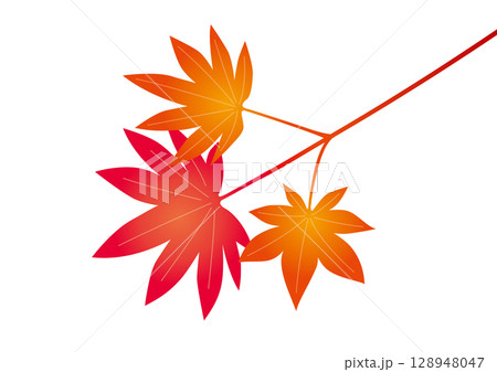 色づいた紅葉の枝 色づいた紅葉の枝 128948047