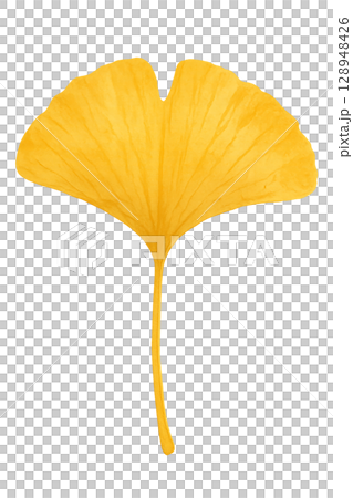 一片大銀杏葉（PNG 剪紙） 128948426