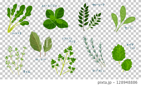 9種草藥,水彩風格手繪插圖 9種草藥,水彩風格手繪插圖 128948886