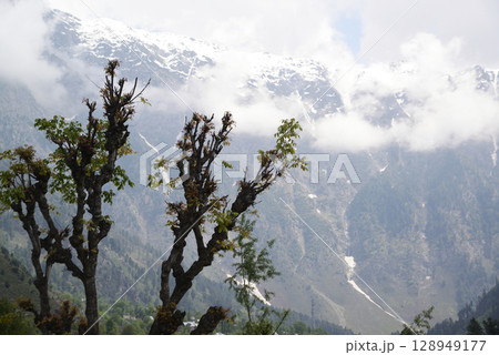 Pahalgam is a city in Kashmir, India, known as the "Paradise of Kashmir" or the "Switzerland of India". It is a beautiful tourist destination with meadows, mountains and flower gardens. Pahalgam is a city in Kashmir, India, known as the "Paradise of Kashmir" or the "Switzerland of India". It is a beautiful tourist destination with meadows, mountains and flower gardens. 128949177