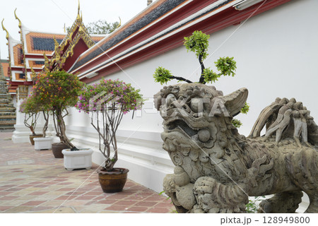 Chinese lion statue front of wall at Wat Phra Chetuphon or Wat Pho, one of the largest and oldest temples and a popular destination for both Thai and foreign tourists. At Bangkok city in Thailand.l 128949800