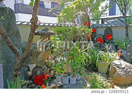 光照院（台東） 128950521
