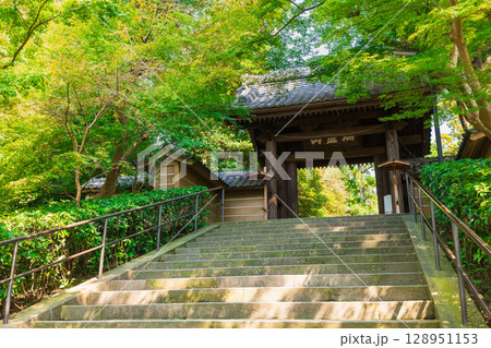 北鎌倉　円覚寺 128951153