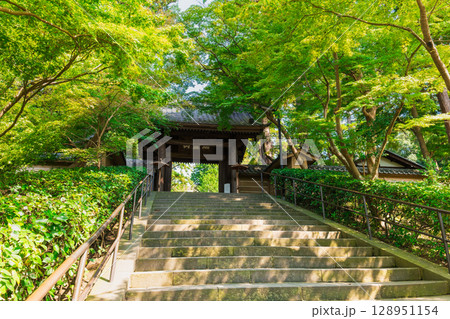 北鎌倉 円覚寺 北鎌倉 円覚寺 128951154