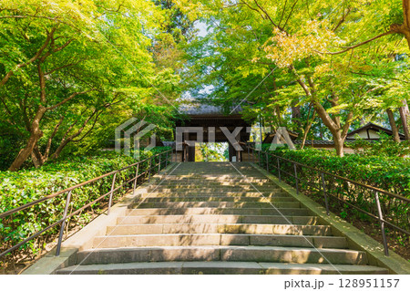 北鎌倉 円覚寺 北鎌倉 円覚寺 128951157