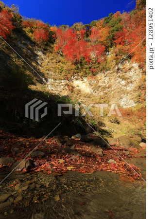 紅葉した木々 128951402
