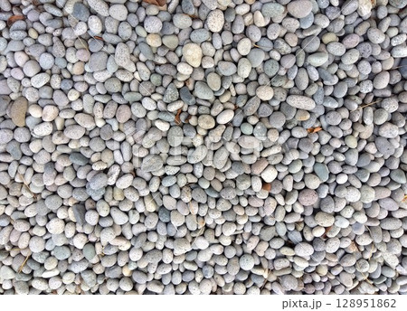 寺の境内の庭に敷かれた玉石 寺の境内の庭に敷かれた玉石 128951862